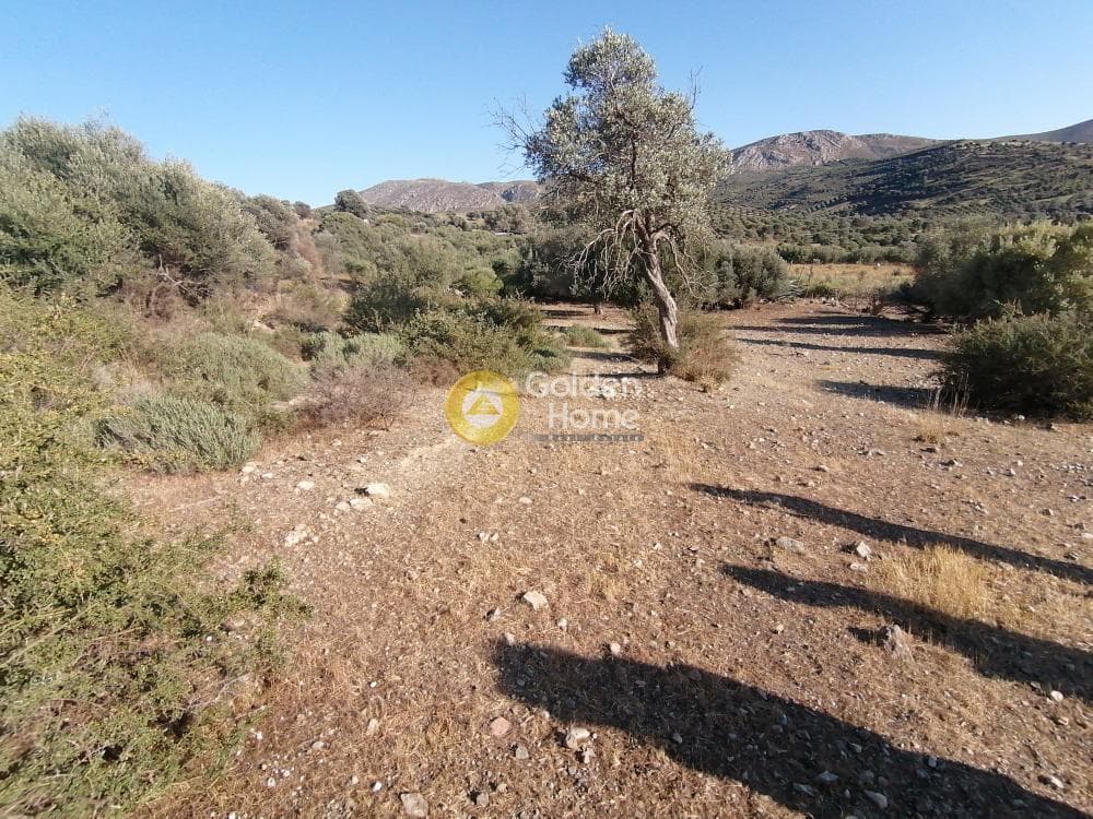 Parcel in Kouses, Moires — Photo 13 of 13