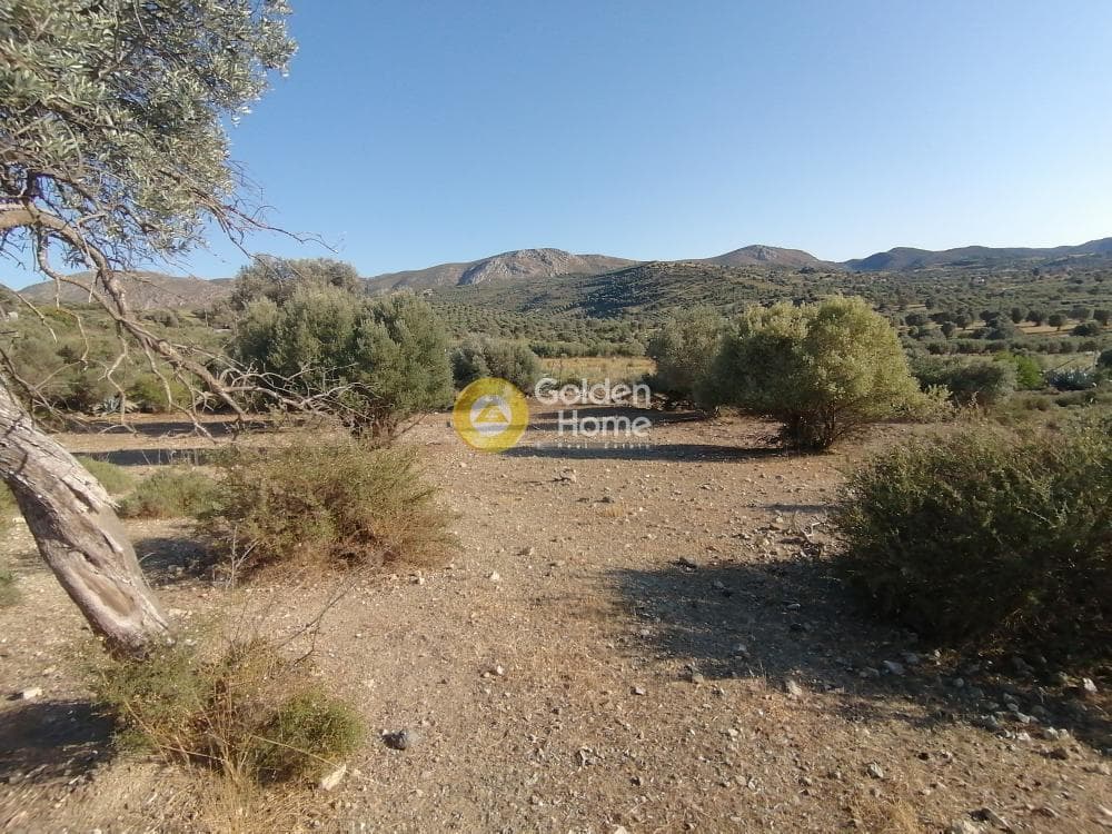 Parcel in Kouses, Moires — Photo 12 of 13