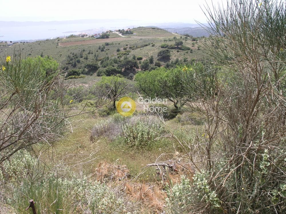 Αγροτεμάχιο στην Ριμπάρι, Κερατέα — Φωτογραφία 2 από 8