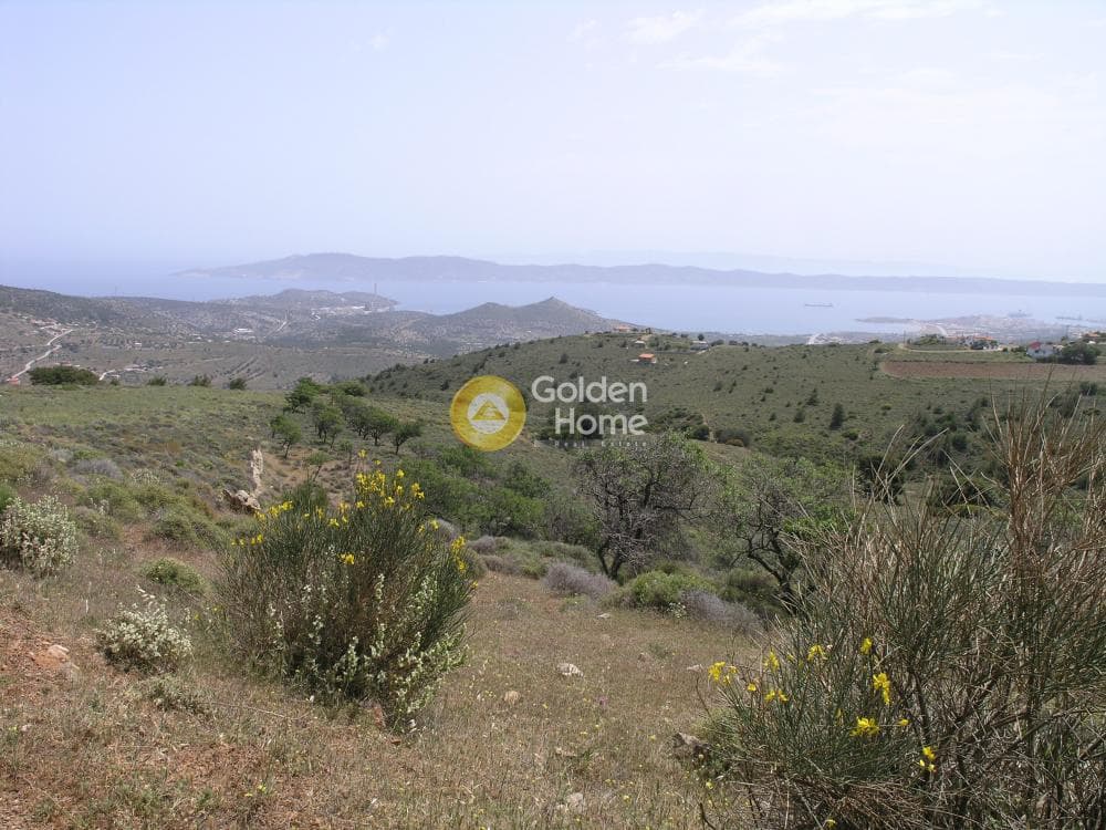 Αγροτεμάχιο στην Ριμπάρι, Κερατέα — Φωτογραφία 1 από 8