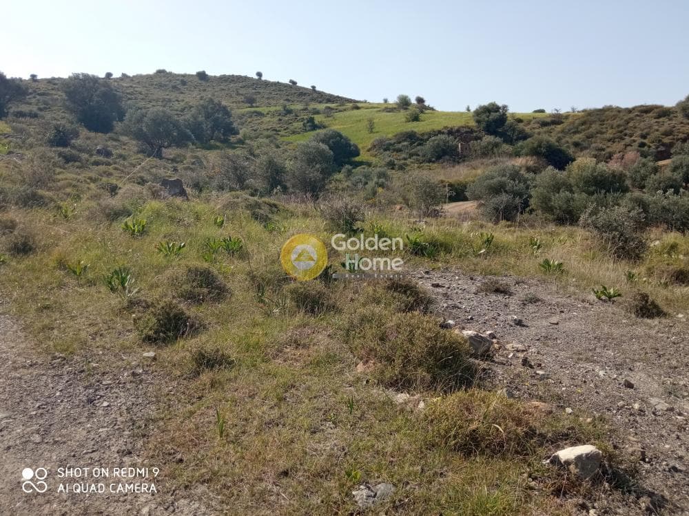 Οικόπεδο στην Κουσές, Μοίρες — Φωτογραφία 9 από 14