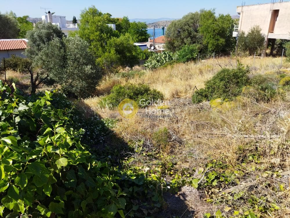 Οικόπεδο στην Σελήνια, Σαλαμίνα — Φωτογραφία 2 από 4