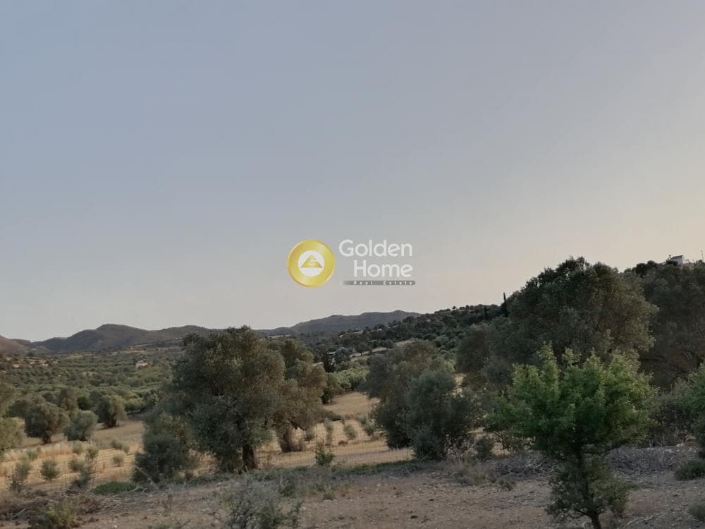 Οικόπεδο στην Κουσές, Μοίρες — Φωτογραφία 16 από 16