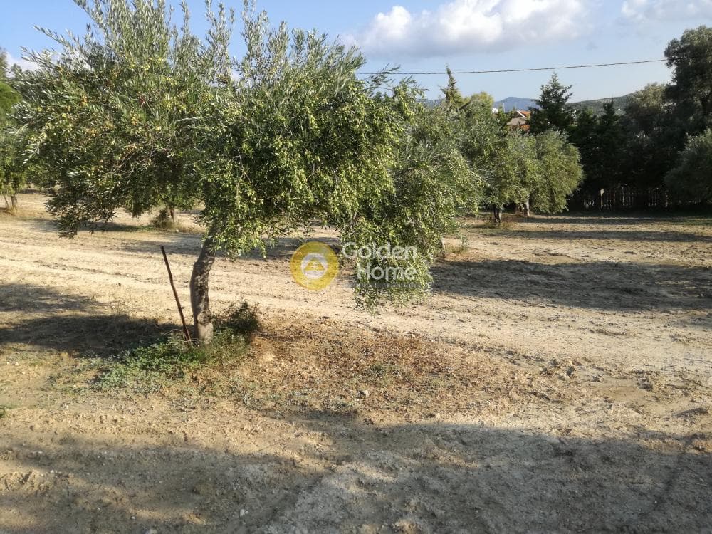Building Plot in Gournes, Temenos — Photo 14 of 20