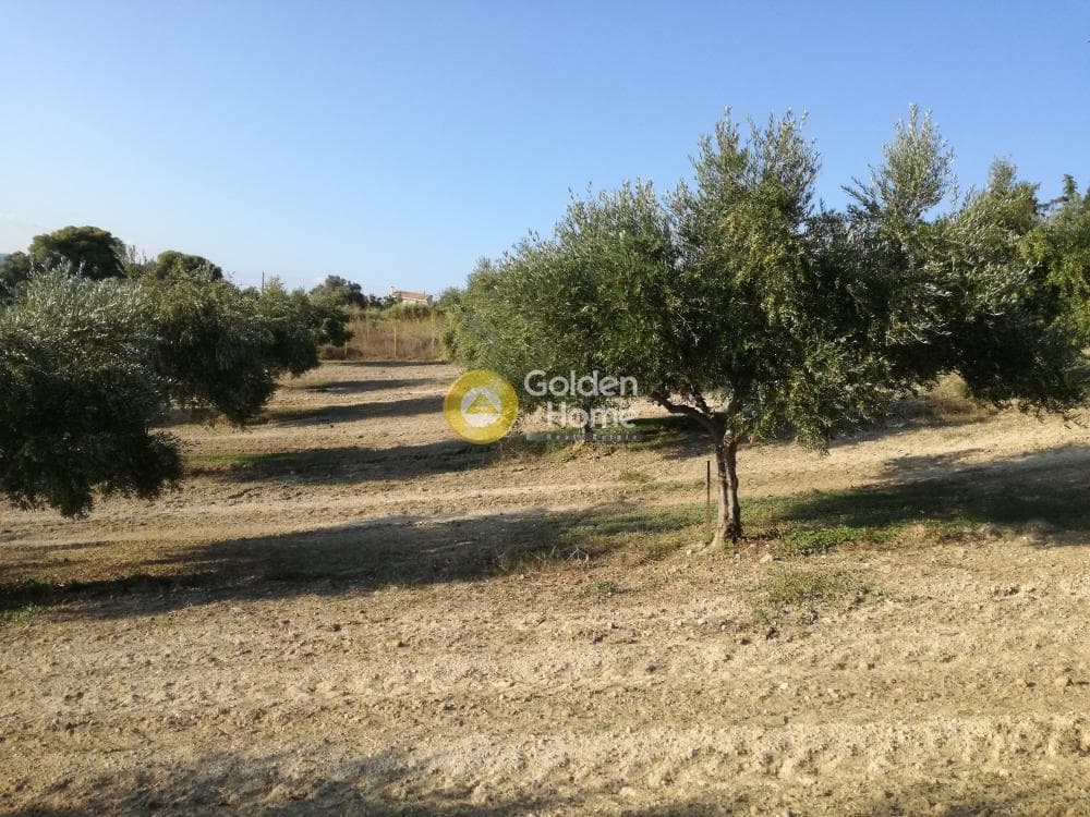 Building Plot in Gournes, Temenos — Photo 3 of 20