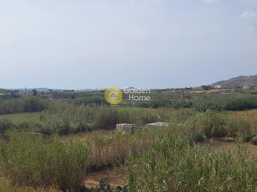 Parcel in Galanado, Naxos — Photo 5 of 6