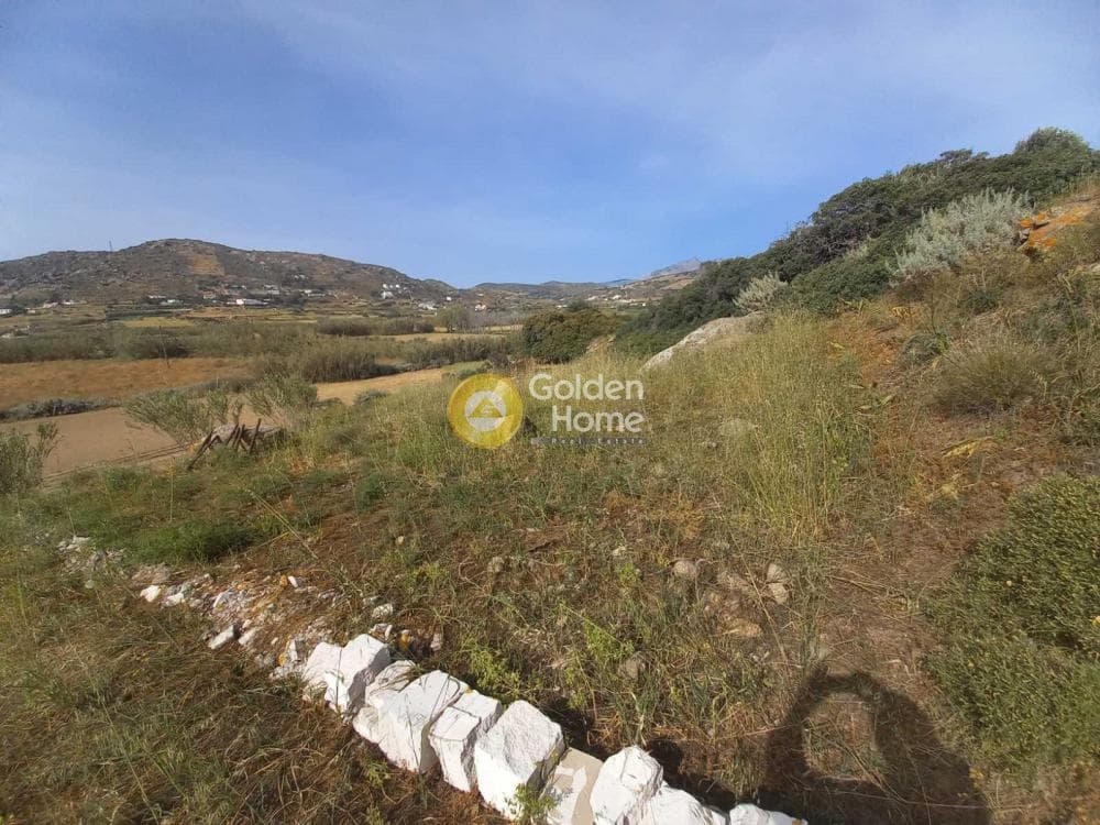 Parcel in Galanado, Naxos — Photo 6 of 6