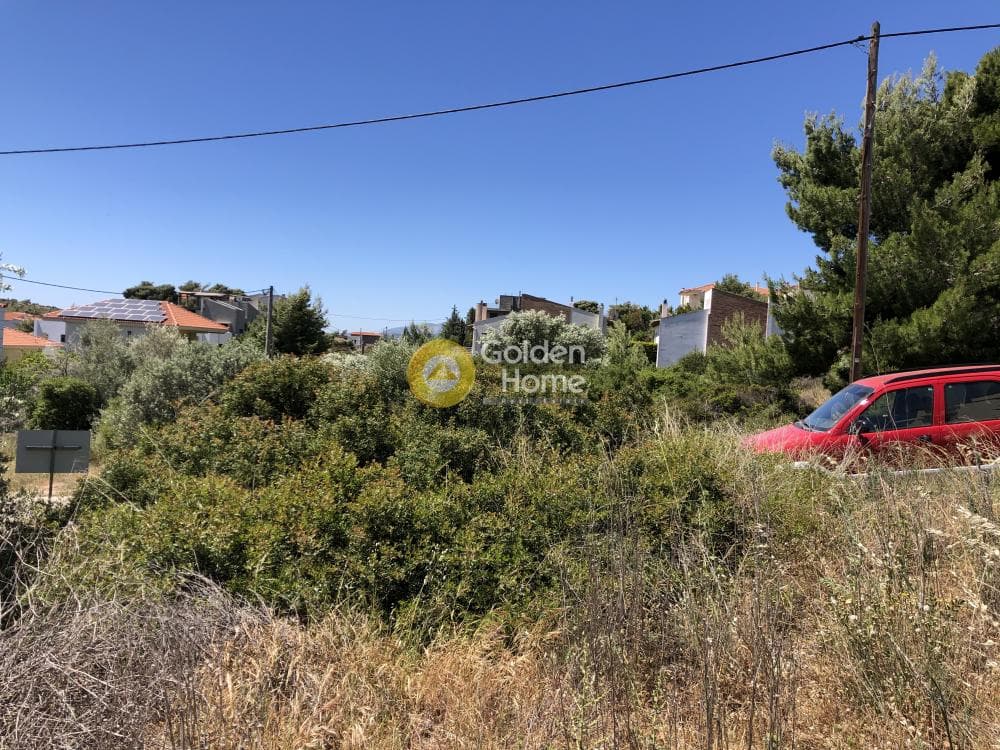 Building Plot in Kalitexnoupoli, Rafina — Photo 2 of 8