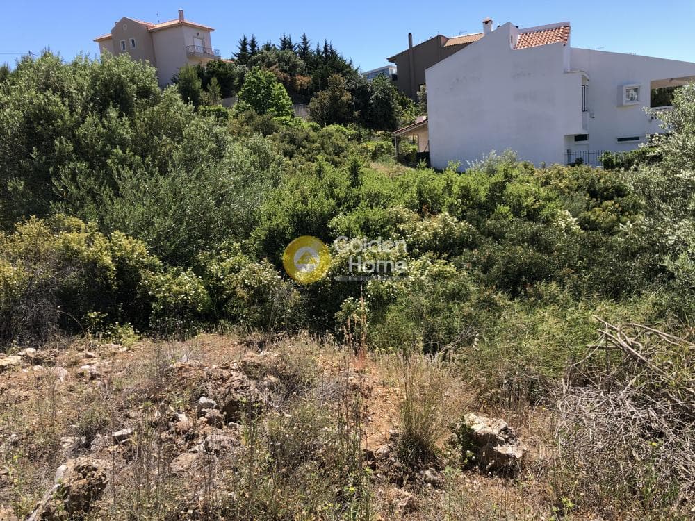 Building Plot in Kalitexnoupoli, Rafina — Photo 5 of 8