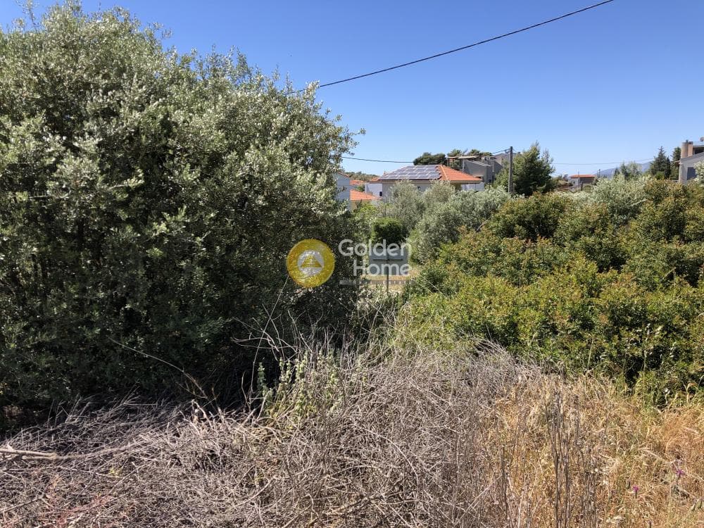 Building Plot in Kalitexnoupoli, Rafina — Photo 4 of 8