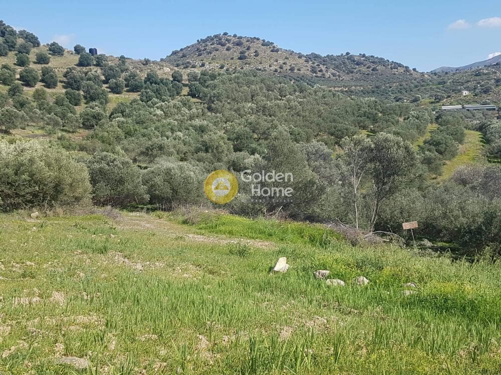Building Plot in Kouses, Moires — Photo 3 of 8
