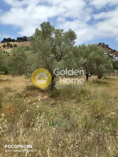 Οικόπεδο στην Καμηλάρι, Τυμπάκι — Φωτογραφία 2 από 14