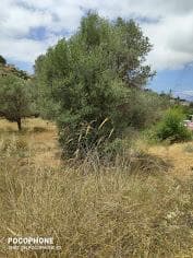 Οικόπεδο στην Καμηλάρι, Τυμπάκι — Φωτογραφία 3 από 14