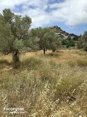 Οικόπεδο στην Καμηλάρι, Τυμπάκι — Φωτογραφία 5 από 14