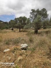 Οικόπεδο στην Καμηλάρι, Τυμπάκι — Φωτογραφία 12 από 14