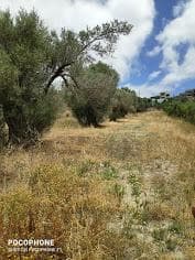 Οικόπεδο στην Καμηλάρι, Τυμπάκι — Φωτογραφία 9 από 14