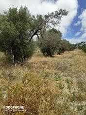 Οικόπεδο στην Καμηλάρι, Τυμπάκι — Φωτογραφία 13 από 14