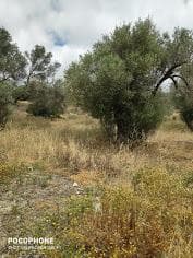 Οικόπεδο στην Καμηλάρι, Τυμπάκι — Φωτογραφία 14 από 14