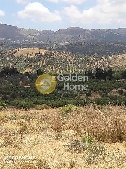 Αγροτεμάχιο στην Καμηλάρι, Τυμπάκι — Φωτογραφία 18 από 20