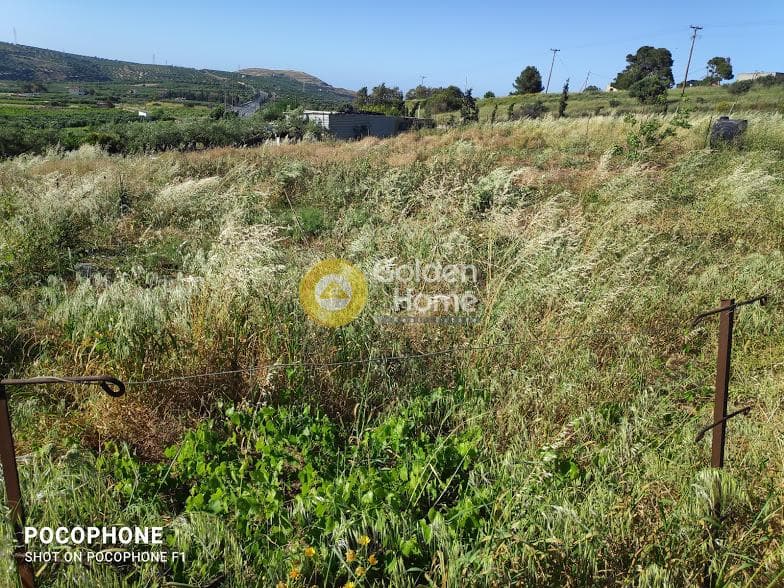 Αγροτεμάχιο στην Αμπελά, Αρχάνες — Φωτογραφία 12 από 30