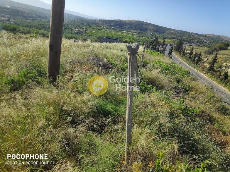 Αγροτεμάχιο στην Αμπελά, Αρχάνες — Φωτογραφία 20 από 30