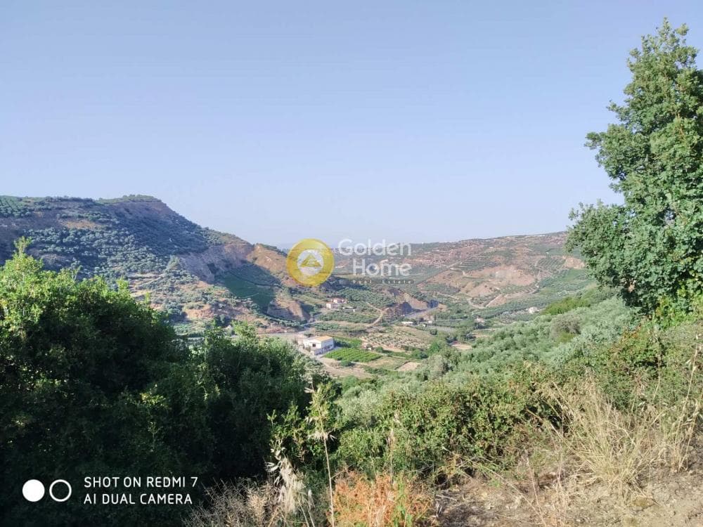 Οικόπεδο στην Πενταμόδι, Τετραχώρι — Φωτογραφία 5 από 5
