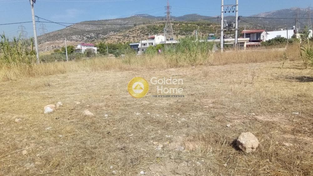 Αγροτεμάχιο στην Μεγάλα Σχοινία Α, Αχαρνές — Φωτογραφία 5 από 11