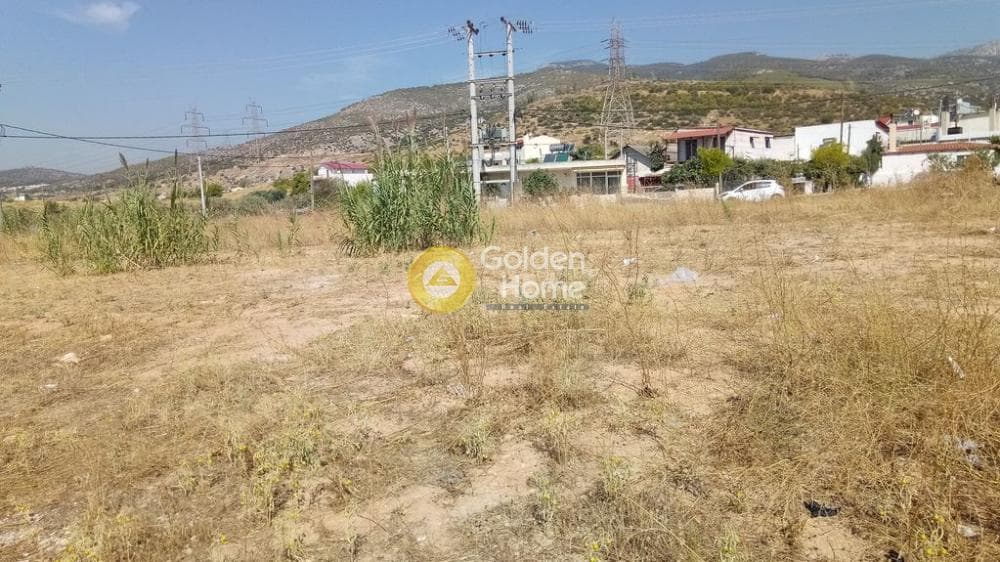 Αγροτεμάχιο στην Μεγάλα Σχοινία Α, Αχαρνές — Φωτογραφία 10 από 11