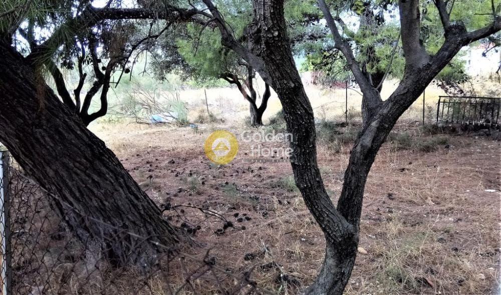 Parcel in Megala Sxoinia A, Acharnes — Photo 4 of 7