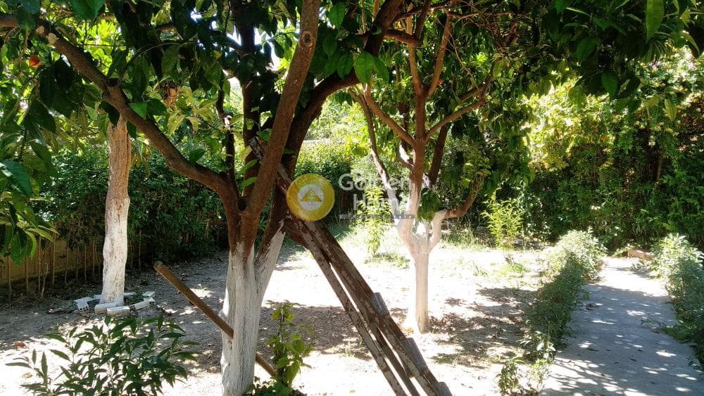 Μονοκατοικία στην Μιντιλόγλι, Παραλίας — Φωτογραφία 3 από 34