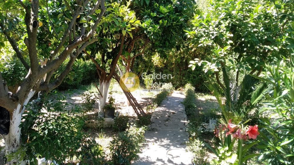 Μονοκατοικία στην Μιντιλόγλι, Παραλίας — Φωτογραφία 4 από 34