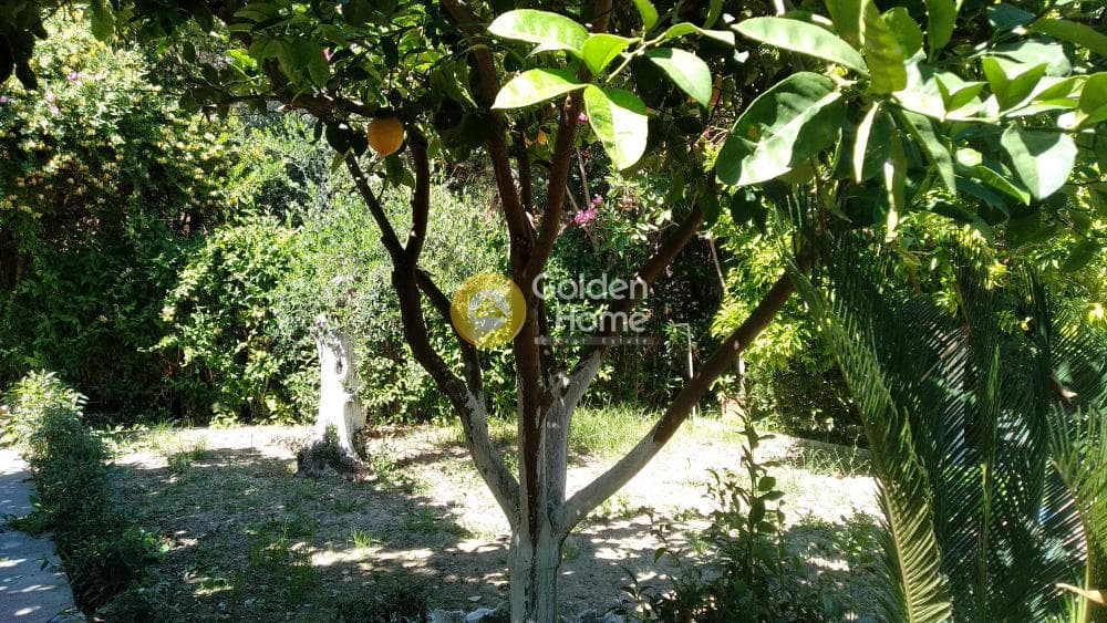 Μονοκατοικία στην Μιντιλόγλι, Παραλίας — Φωτογραφία 5 από 34