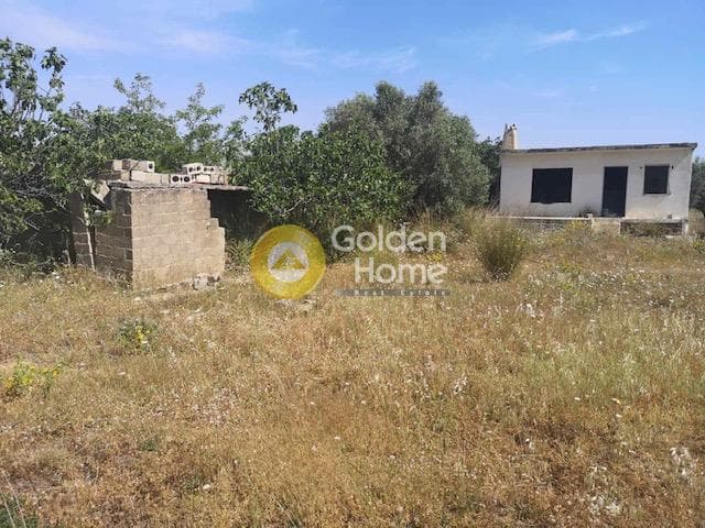 Parcel in Neapoli, Spata — Photo 3 of 5