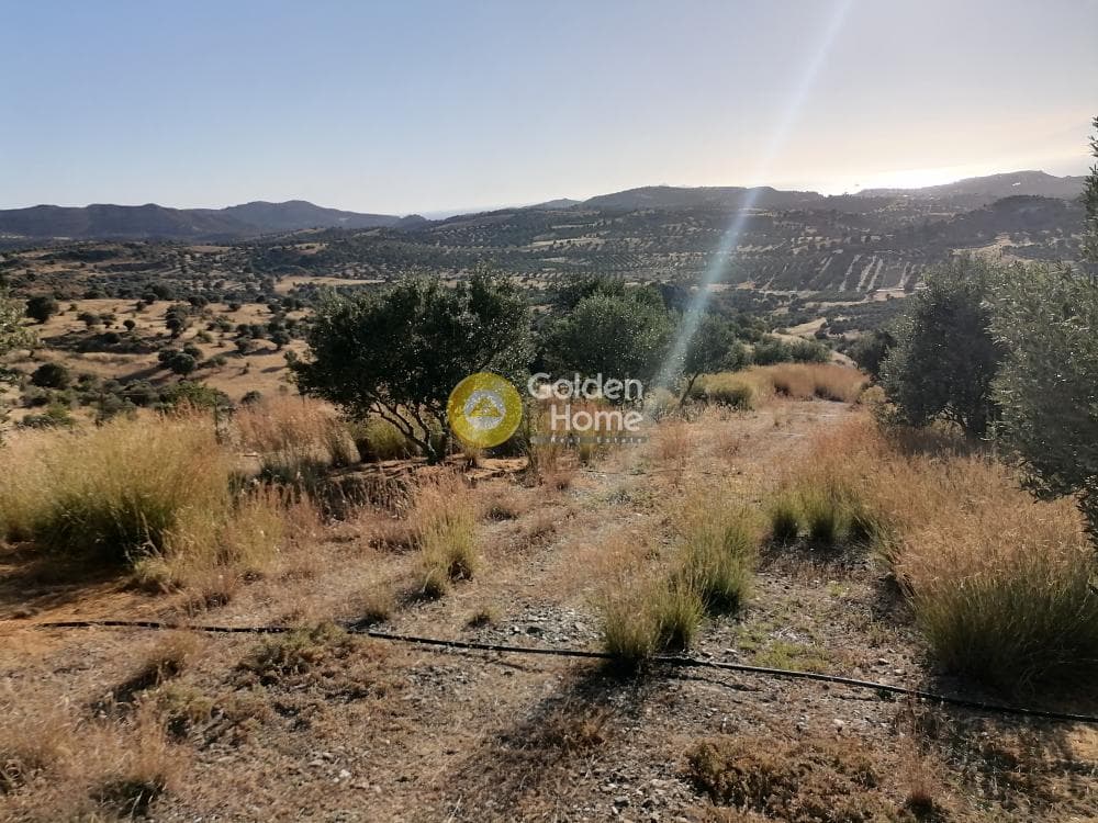 Building Plot in Kouses, Moires — Photo 13 of 16