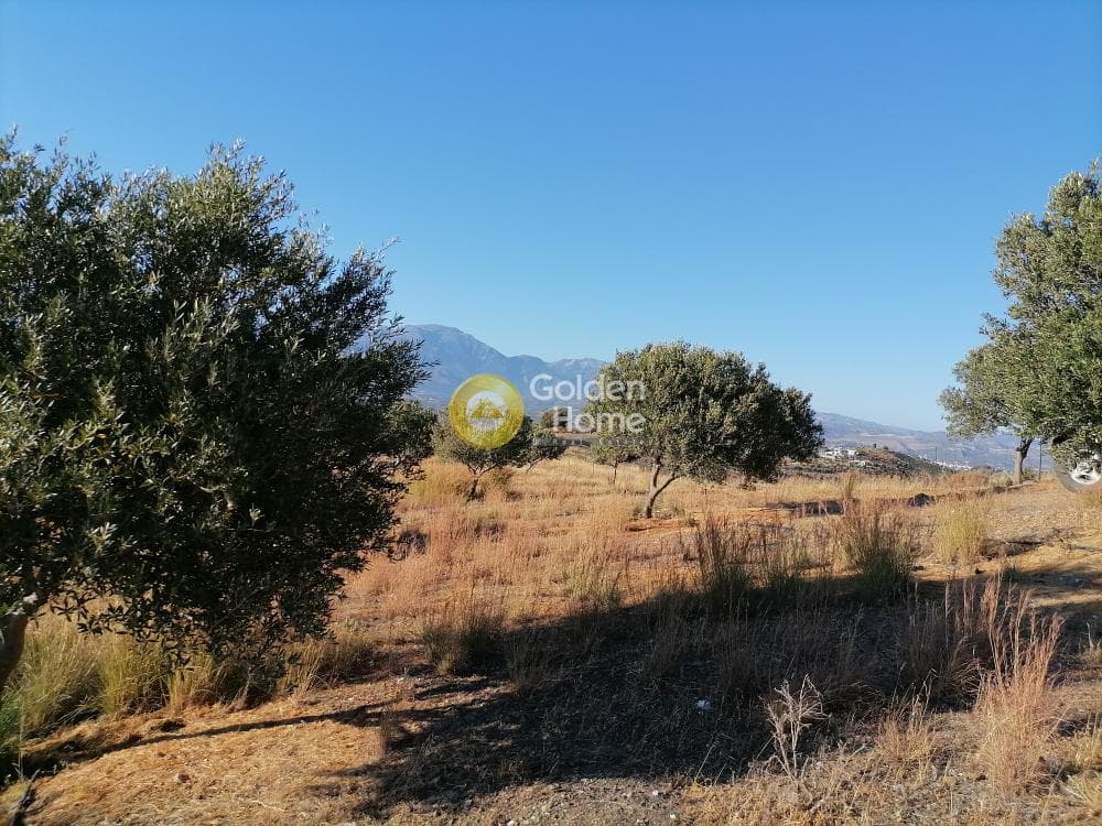 Building Plot in Kouses, Moires — Photo 14 of 16
