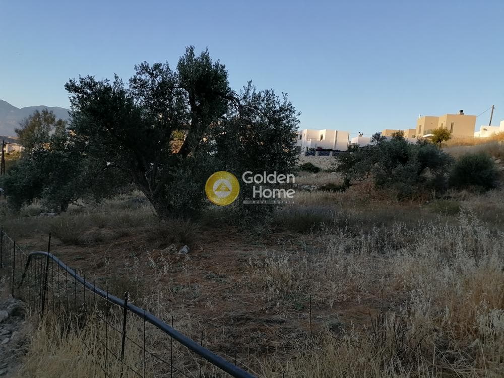 Οικόπεδο στην Καμηλάρι, Τυμπάκι — Φωτογραφία 15 από 16