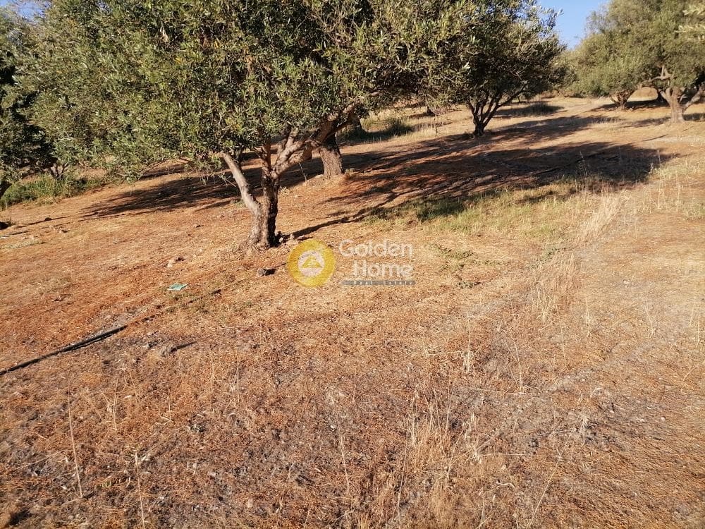 Building Plot in Kouses, Moires — Photo 8 of 20