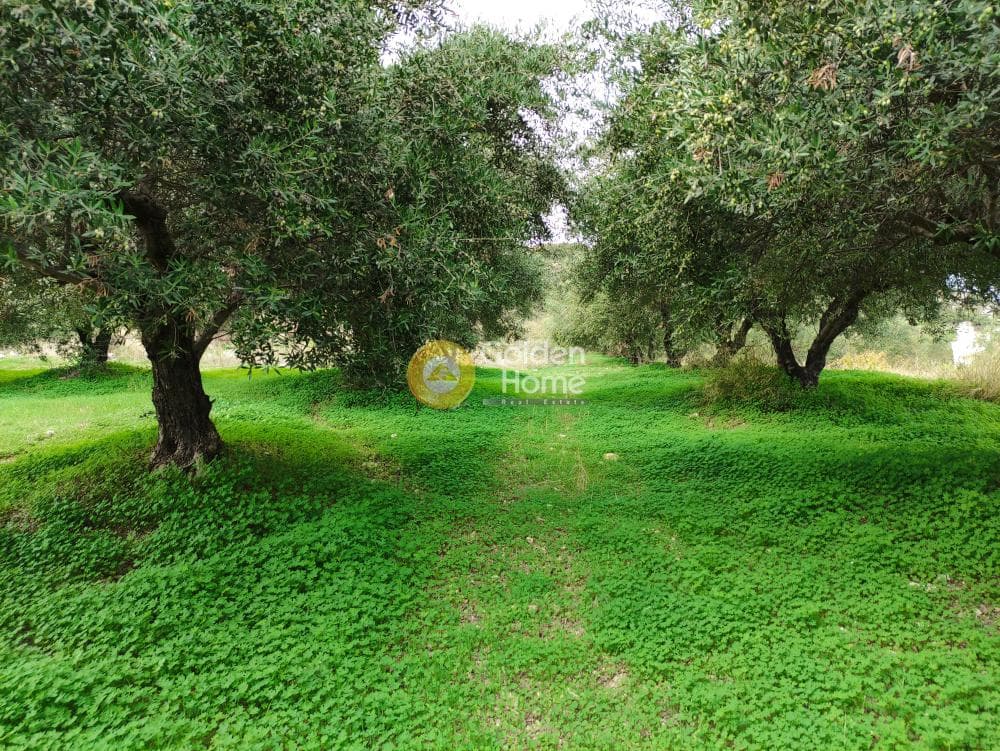 Building Plot in Kato Archanes, Archanes — Photo 1 of 4