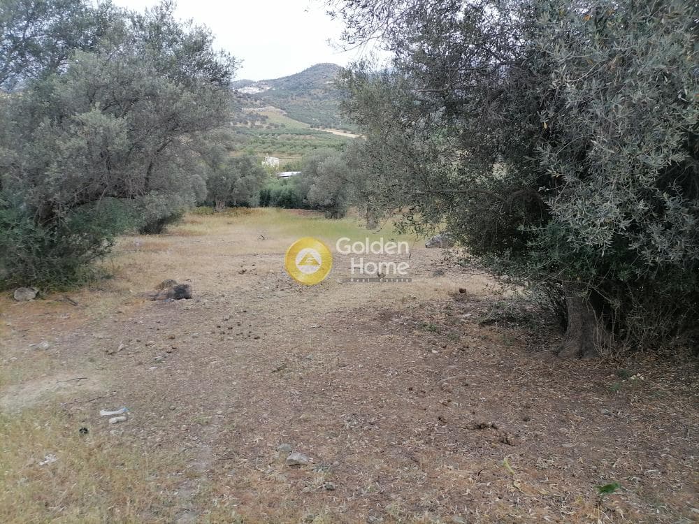 Building Plot in Kouses, Moires — Photo 14 of 22