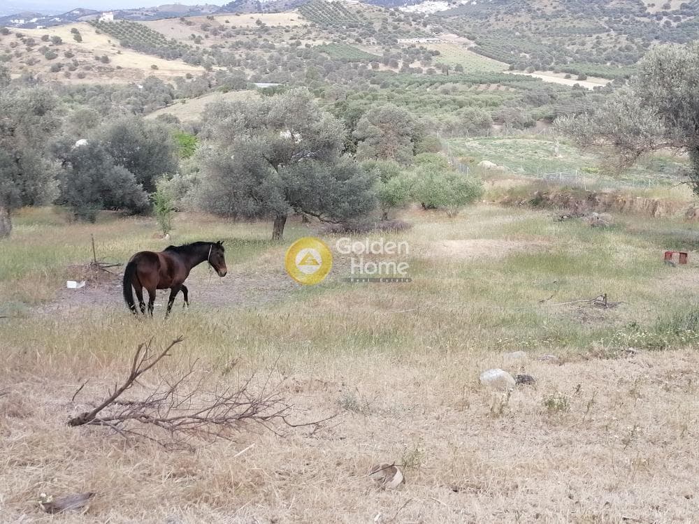 Building Plot in Kouses, Moires — Photo 10 of 22