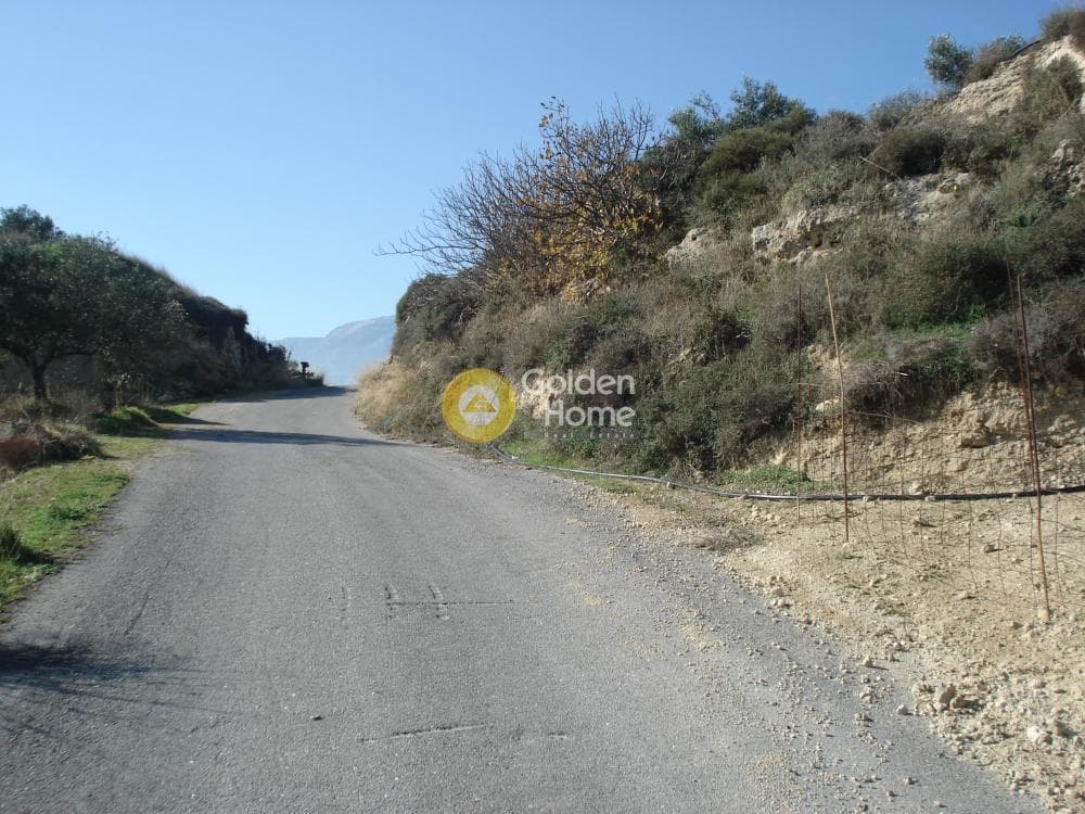 Οικόπεδο στην Κερασιά, Τετραχώρι — Φωτογραφία 13 από 14