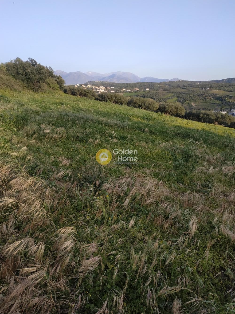 Οικόπεδο στην Καλλονή, Αρχάνες — Φωτογραφία 1 από 8