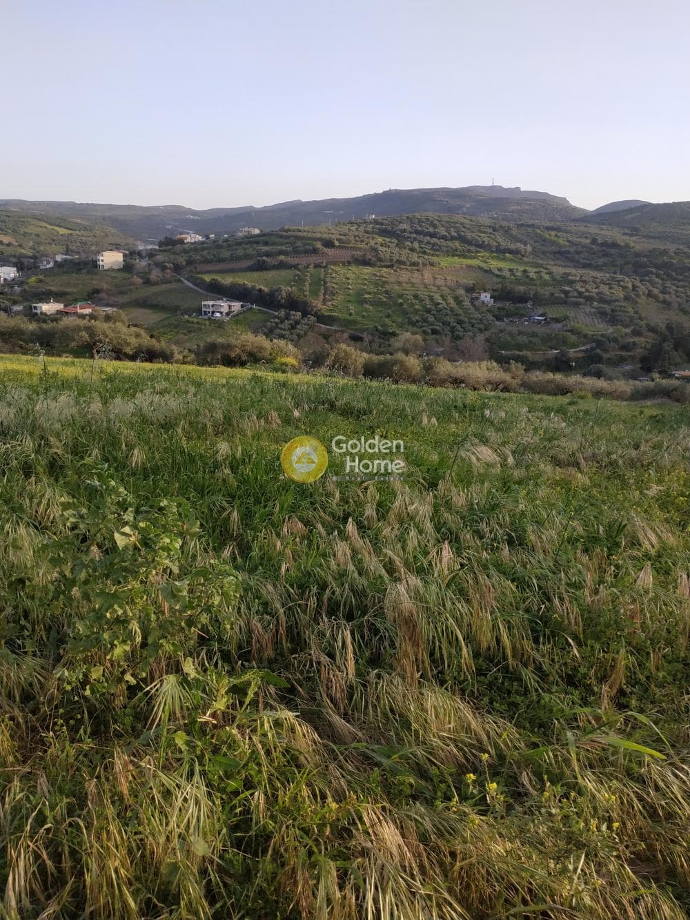 Οικόπεδο στην Καλλονή, Αρχάνες — Φωτογραφία 6 από 8