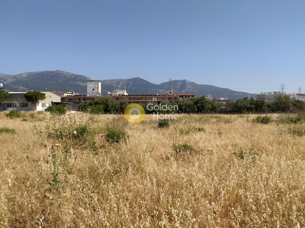 Building Plot in Megala Sxoinia A, Acharnes — Photo 2 of 4