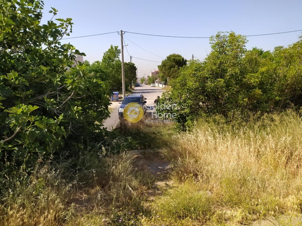 Building Plot in Megala Sxoinia A, Acharnes — Photo 4 of 4