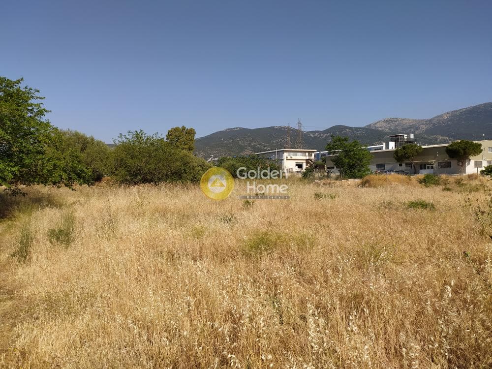 Building Plot in Megala Sxoinia A, Acharnes — Photo 2 of 4