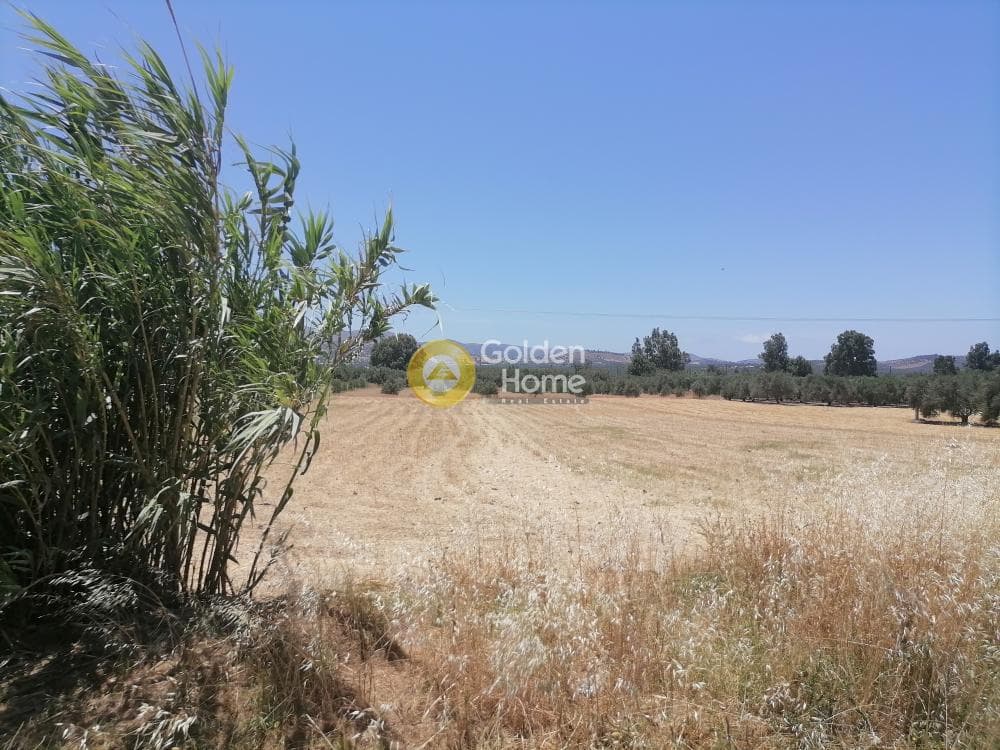Building Plot in Moni Kalivianis, Moires — Photo 12 of 21