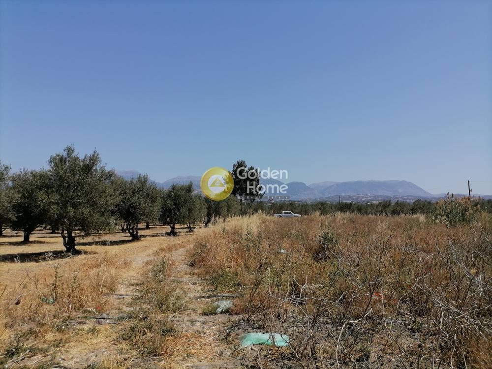 Αγροτεμάχιο στην Πετροκεφάλι, Μοίρες — Φωτογραφία 20 από 21