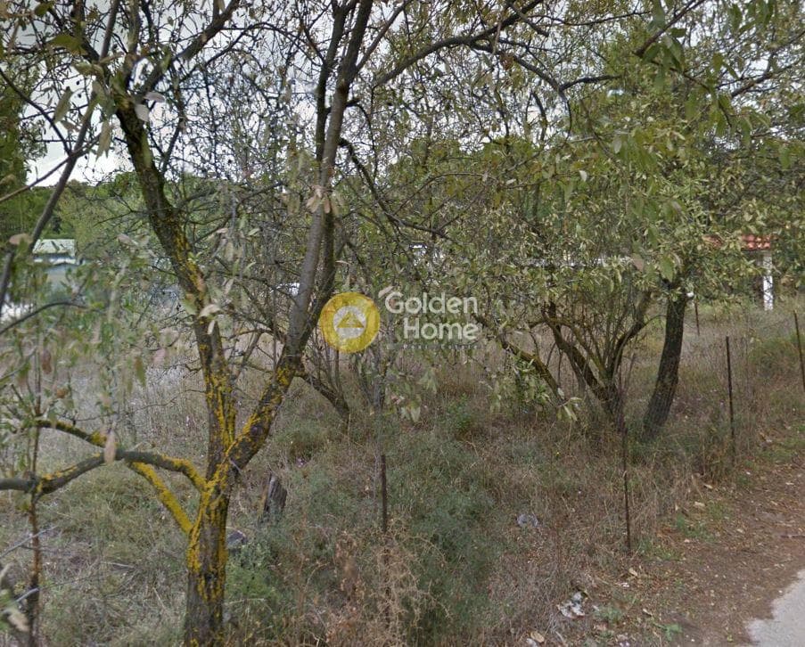 Parcel in Fasideri, Anoixi — Photo 1 of 4