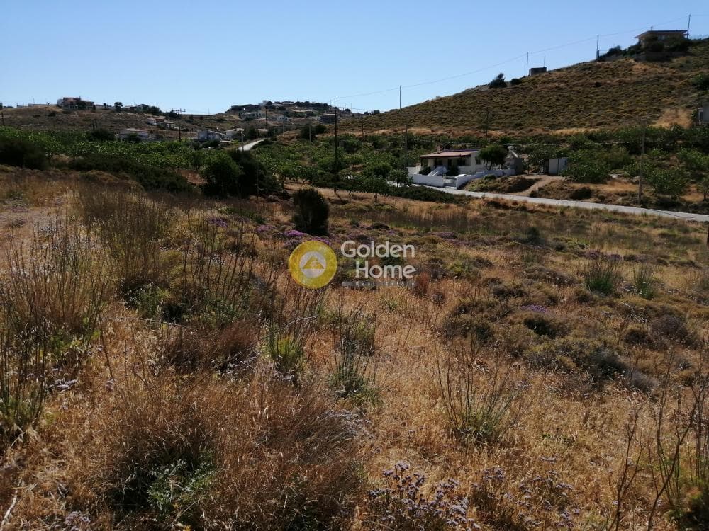 Αγροτεμάχιο στην Πόρτο Εννιά, Κερατέα — Φωτογραφία 17 από 25